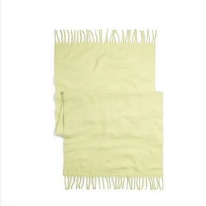 Madewell Light Green Fringed Scarf